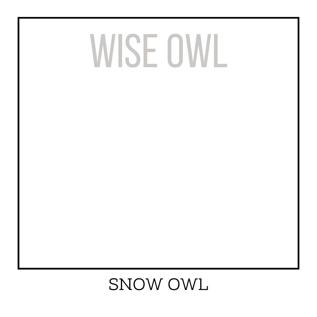 OHE - Snow Owl