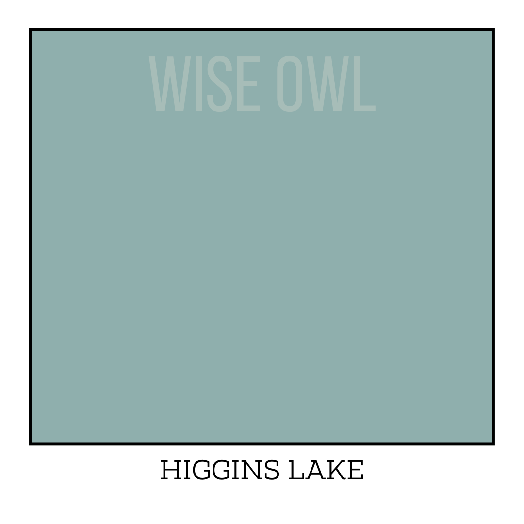 OHE - Higgins Lake