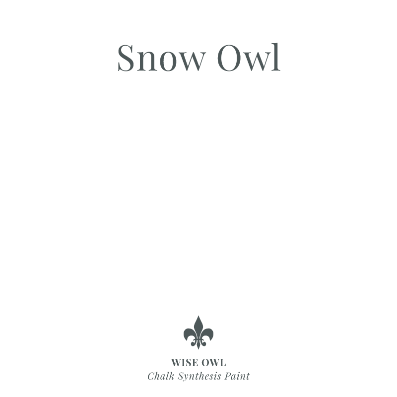 Wise Owl - Snow Owl