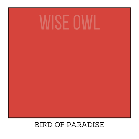 images/productimages/small/bird-of-para.png