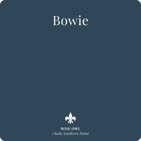 images/productimages/small/bowie-1-.png