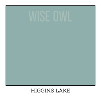 Higgins Lake