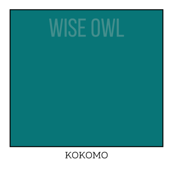 CUSTOM OHE - KOKOMO