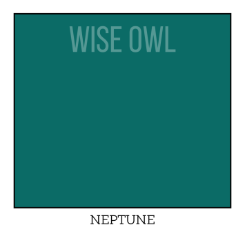CUSTOM OHE - NEPTUNE